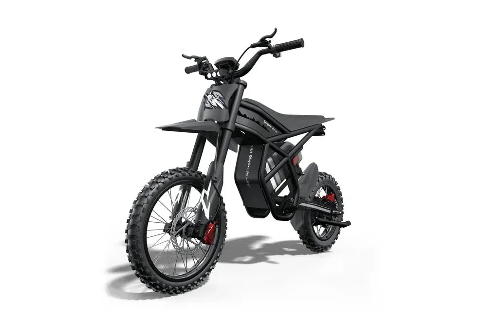 Elektrinis dviratis Riding times GT54