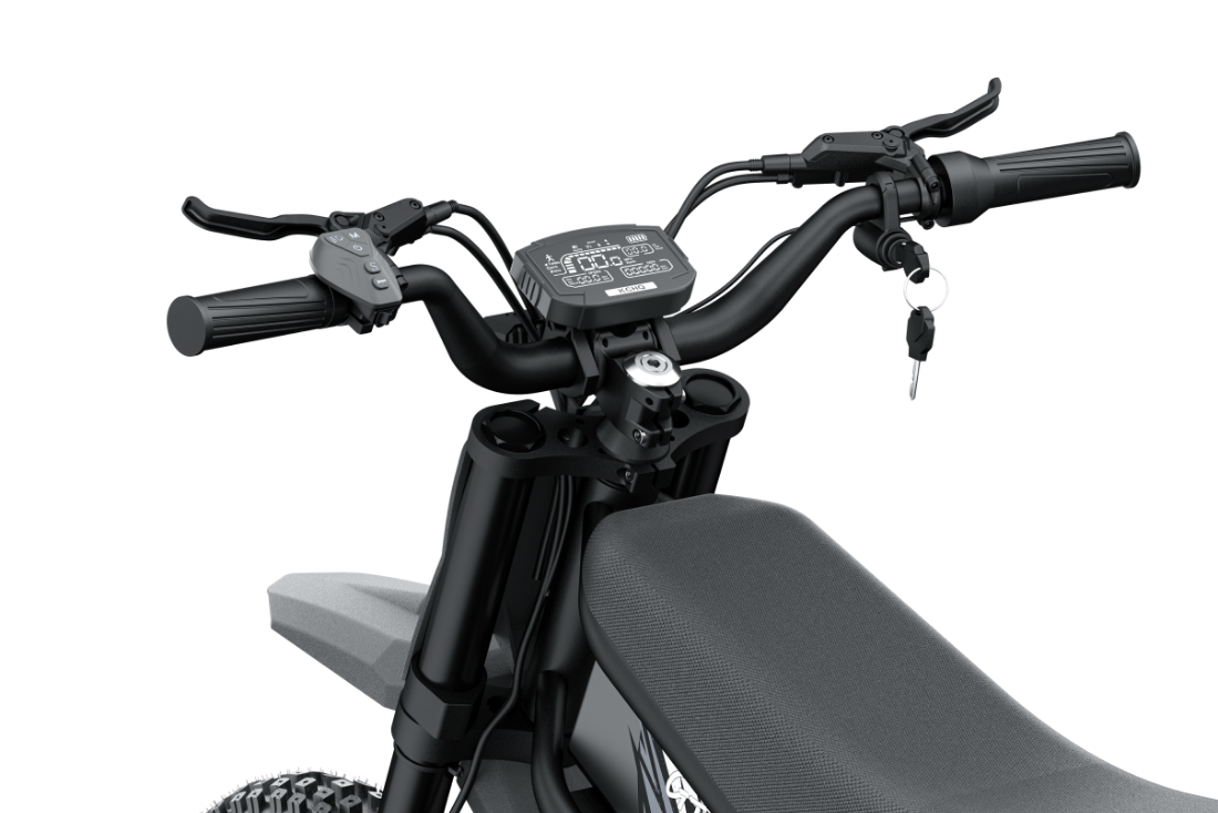 Elektrinis dviratis Riding times GT73