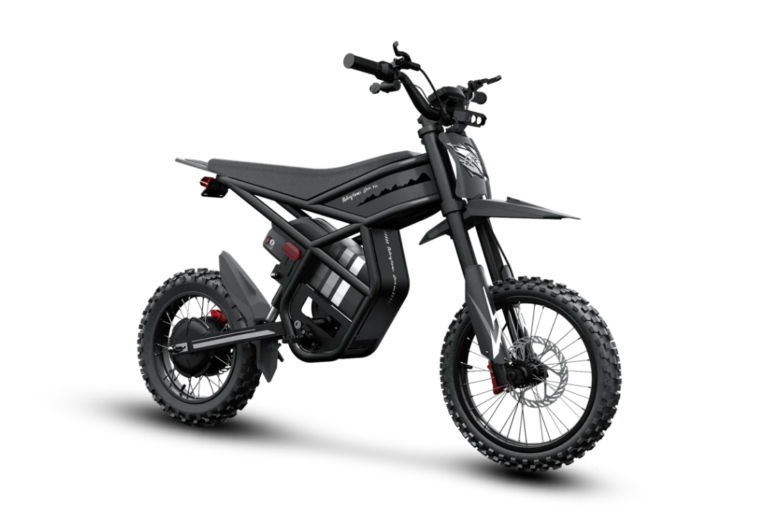 Elektrinis dviratis Riding times GT54