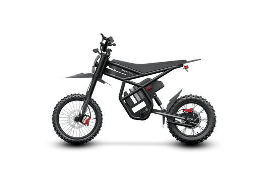 Elektrinis dviratis Riding times GT54